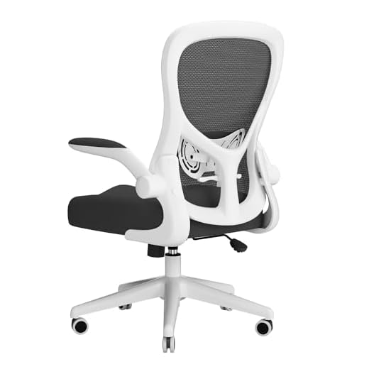 Hbada Ergonomic Office Chair Work Desk Chair Computer Breathable Mesh Chair with Adjustable Lumbar Support and Flip-up Arms, White