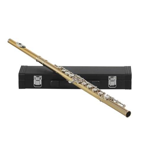 N[Yht[g 16t[g [{bNXANZT[t vdl̖؊Ǌy