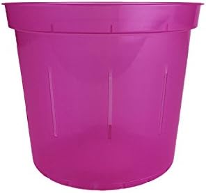 3" Slotted Clear Orchid Pots - 6 Pack (1, Wild Orchid)
