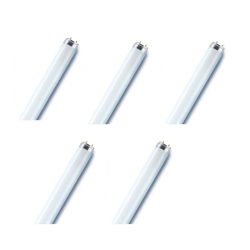 Osram/Fluorescent Tube Light Basic Plus T8 L 18W 4000k G13 Cool White 0.6 m- Pack of 5