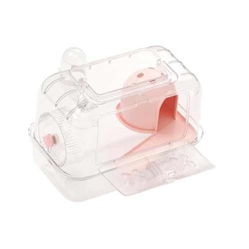 FewNvWa CƗVя̂nX^[̂߂̏̐n, sN