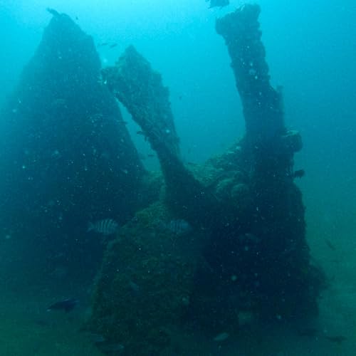 The Tragic Tale of the Consoles: A Dive Into History and Maritime Mystery