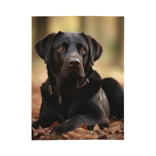 Couverture légère climatisation labrador contre les nuits fraîches sur lit - 3