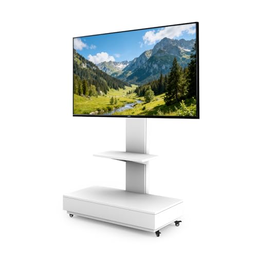erX^h LX^[t nC^Cv Ǌ erA32-75C`̃erΉ VESAKi/100×100mm~600×400mm Tv Stand TvX^h \ px]\ erbN Ɩp Ɨp TV Io