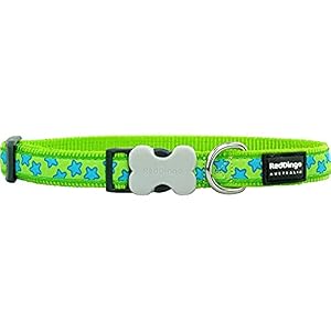 Red Dingo Nylon Hundehalsband Sterne Grün XS