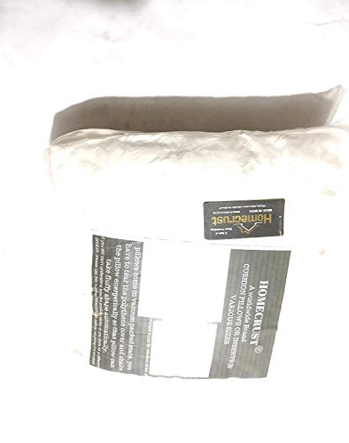Image of Microfiber Cushion Fillers Pillow (30 x 30 cm, white) - Pack of 2