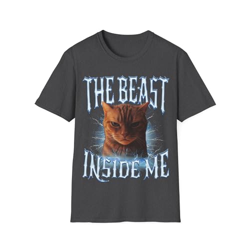 T-shirt humour chat en colère idée cadeau original pour Noël