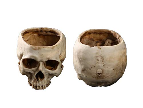 Aqxreight Vaso Portafiori A Forma Di Teschio In Resina – Decorazione Gotica Per Bar, Night Club, Scrivania E Casa - 2