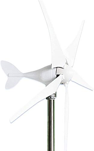 RDJM Turbina eólica 1000W del Viento generador de turbinas + Controlador 12V / 24V / 48V 5 Cuchillas del Molino de Viento Inicio Sin Brida Asiento Más Easy Install (Color: 12v) (Color : 12v)