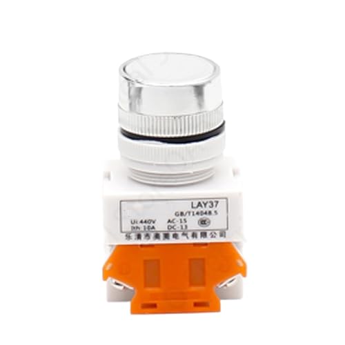 Bouton poussoir 22mm réinitialisation automatique blanc 10A interrupteur monophasé
