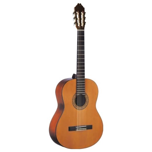 Washburn Classical Series C5 Classical Acoustic Guitar, Natural