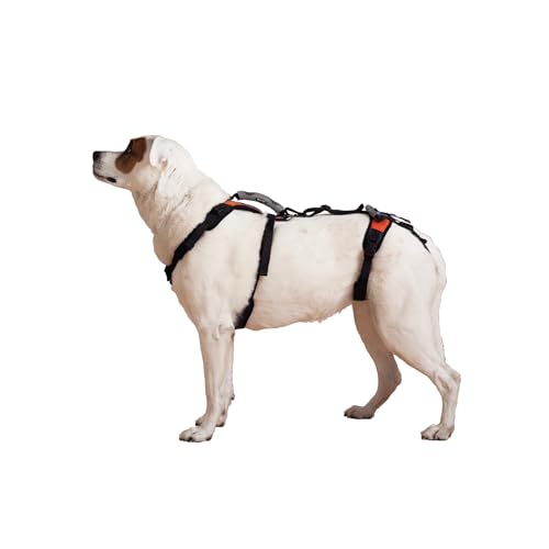 Help 'Em Up® - Dog Lift Harness│ Adjustable Lifting Harness for Dogs │ Full Body Support, Rear Leg Support (Conventional, Medium)