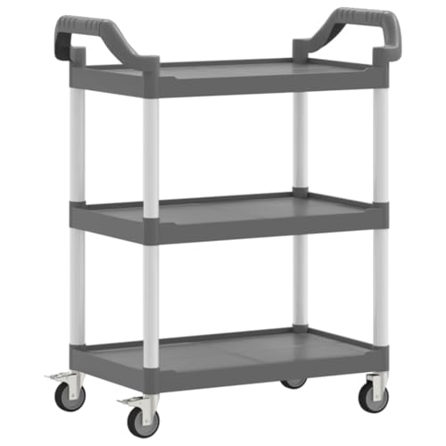 Kangmusi 30321 - Carrito con ruedas (3 niveles, aluminio, 81 x 41 x 92 cm), color gris