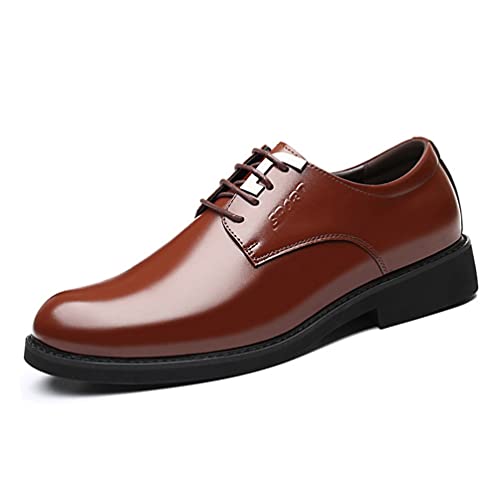 [osseoca] rWlXV[Y Y V[NbgV[Y vC amC JWA 6CM OH hXV[Y  tH[} ɂ ʋ ʊw (uE, measurement_25_point_0_centimeters)