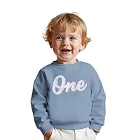 1. Geburtstag Junge Pullover Baby \One\ Bestickt Sweatshirt Neugeborenen Babykleidung Rundhals Langarmshirt Jungen Kinderkleidung Kleinkind Outfits Warmer Herbst Winter Pulli(Himmelblau,12 Monate)