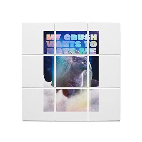 Carreaux céramique décoratif vintage mural illustration humour animal My Crush lot de 9