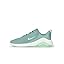 Cannon/Mint Foam/Summit White