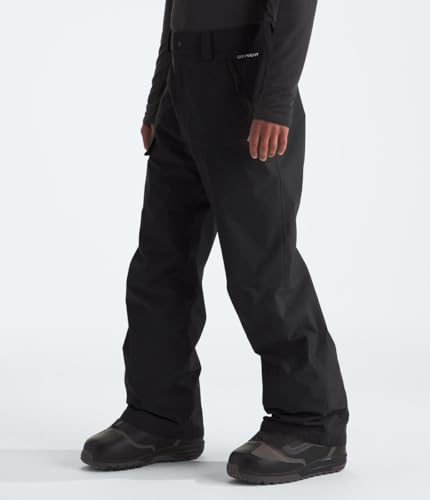 The North Face Men's Seymore Pant