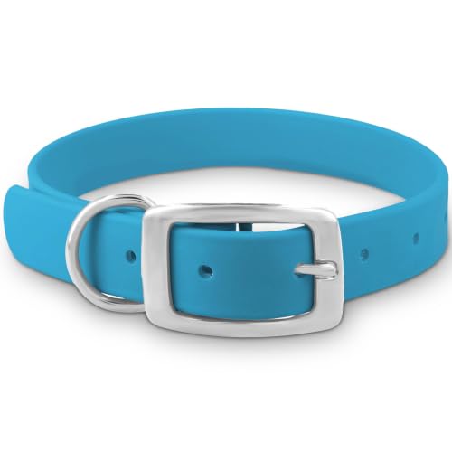 Collar para perro mediano azul claro ajustable y resistente
