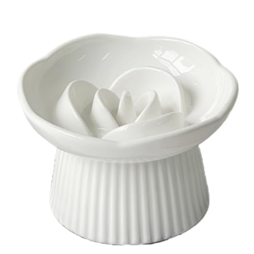 Brfveob 퐻ybgHh~M Lp NǗ ߐHqf΍ _CGbg얞h~ ʃfUC ^^ t[h{E 􂢂₷ ~ H a qI  Mtg v[g (zCg)