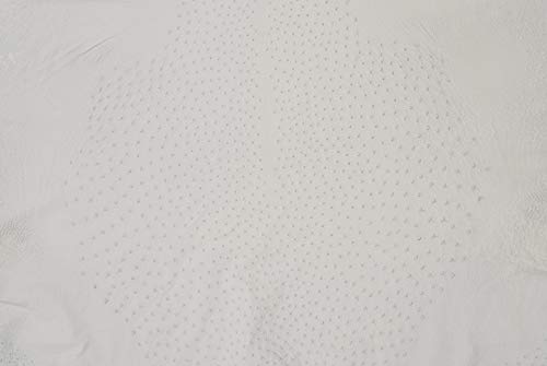 Ostrich Skin Garment Crust (Grade 2 or Better)