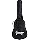 SPENCER BY EKO SAP-10 Natural Akustikgitarre Natural Gitarre + 3 Plektren + Clip Stimmgerät + Stofftasche + Schultergurt + Gitarrenkurs Online (max. Varini)