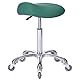 FRNIAMC Professioneller Sattelhocker mit Rollen, ergonomisch, drehbar, höhenverstellbar, für Klinik, Zahnarzt, Schönheitssalon, Tattoo, Heimbüro, Grün