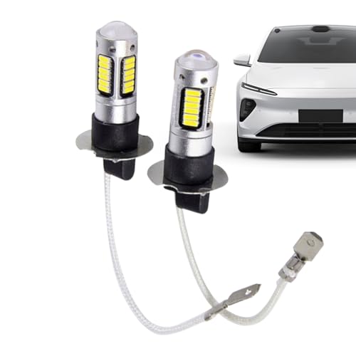 Générique LED-Leuchtmittel für Nebelscheinwerfer 2 Leuchtmittel 12 V hohe Helligkeit energiesparend für Auto SUV LKW Motorrad Quad Anhänger
