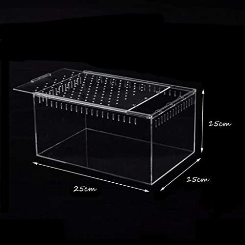 Terrarium pour reptiles transparent boîte d'élevage sans fuite pour serpent