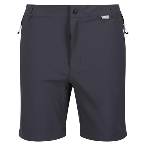 Regatta Mens Mountain II Shorts Seal Grey/Black