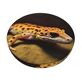 Material: Der Barstuhl-Kissenbezug besteht aus Samtstoff + dickem Schwamm + rutschfestem Silikon innen, weich, bequem, hautfreundlich und atmungsaktiv, was Ihnen ein komfortableres und entspannenderes Erlebnis bietet. Das dreilagige Material schützt Ihren Barstuhl vor Staub und Flecken und bringt Ihnen auch Komfort.