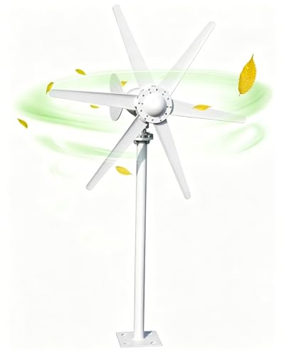 Fuzeiuo 800W Wind Turbine Generator Kit 12V/24V 6 Blade