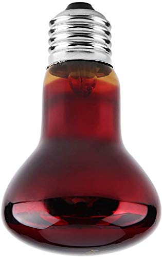 Lampada Riscaldante Per Rettili 100W - Luce Rossa Infrarossi | Per Terrari | Vetro Resistente | Attacco E27 | Per Serpenti, Gechi E Tartarughe - Foto 10