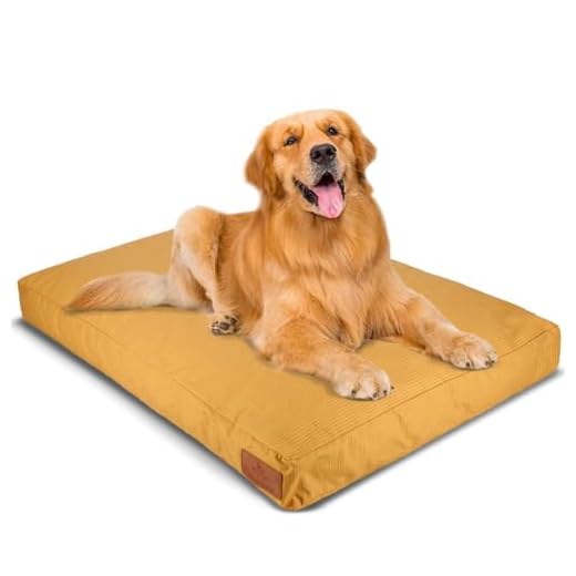 Durable & Comfortable Canvas Dog Bed, Premium Quality Water-Repellent Coating & Dirt Resistance, Removable & Washable Outer Cover, Heavy Duty Zippers for Small & Medium Size Dogs (Large, Tan)