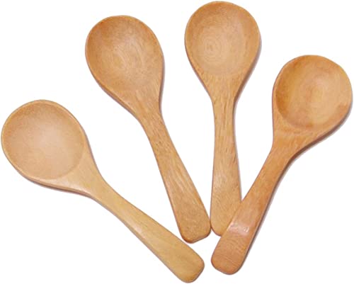 Brccee AC 10PCS Mini Wooden Spoons Condiments Salt Spoons Tembusu Wood (10)