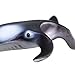 Safari Ltd. Manta Ray Figurine - Realistic 4