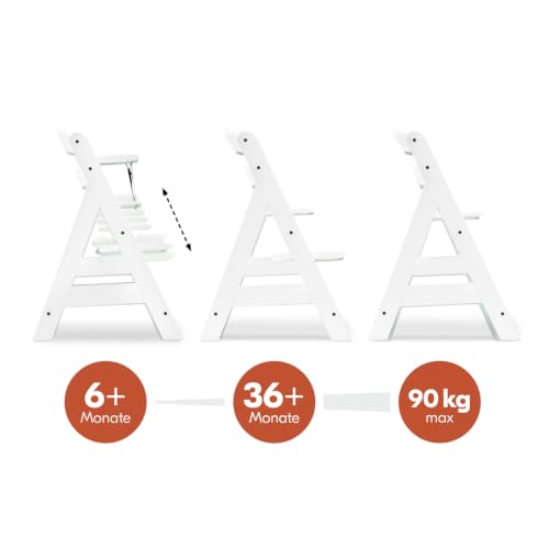 hauck Kinder Hochstuhl Alpha+, Mitwachsend ab 6 Monate, Buchenholz, Stabil & Sicher bis 90 kg, Inklusive 5-Punkt-Gurt… – Ansicht 5