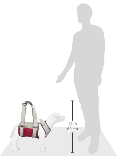 Amazon | With(ウィズ) 歩行補助ハーネス LaLaWalk 大型犬用 メッシュ