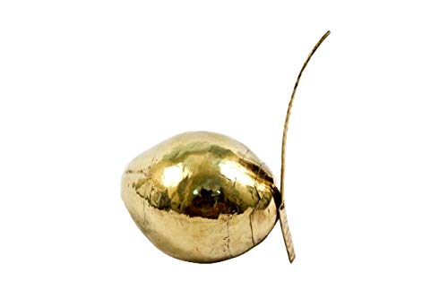 Shrinika Brass Nariyal | Pital Daab | Brass Coconut for Puja, Home Decor (Golden), Standard Size (Pack of 1)