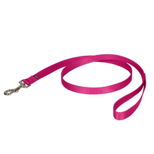 PetSafe Nylon Dog Leash Strong, Durable, Traditional Style Lead with Easy to Use Bolt Snap for...
