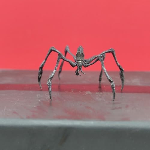 Accessoires de décoration araignée en laiton pour orner la maison - 4