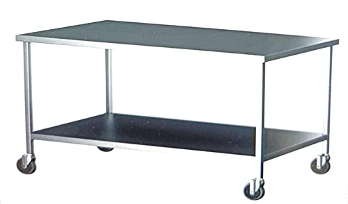 Image of DG DEXAGLOBAL Stainless Steel (SS Table, 45 x 26 inch x 34 inch (1 Under Shelf+ Wheels))