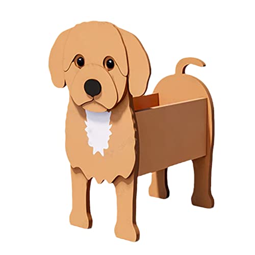 Is there a dog version of catnip