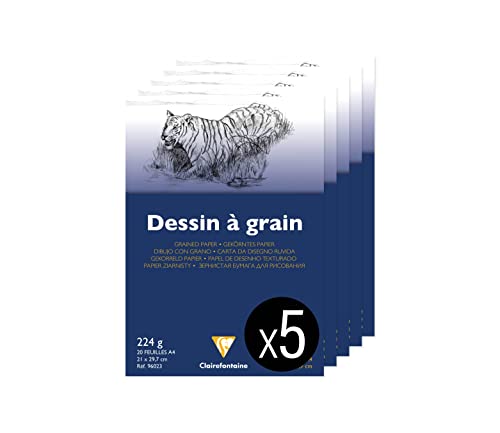 Papier dessin au grain marqué Clairefontaine 224g A4 20 feuilles de haute tenue