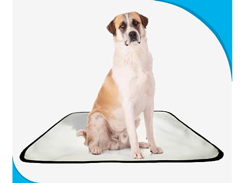 Tapete para Pets Higiênico em oferta 1 un G 90x100cm