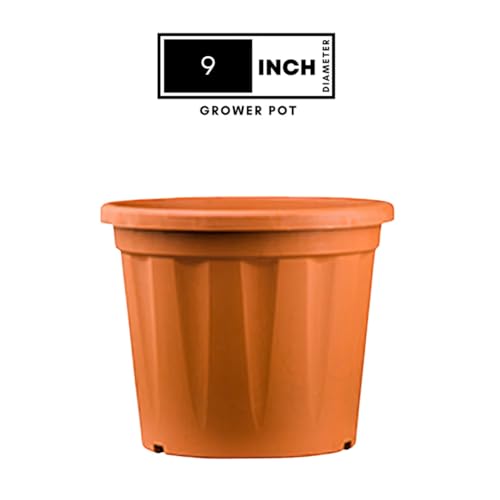 Image of 9 Inch Heavy Duty Plastic Planter | Grower Pot /Garden Pot for Home & Garden (Black) (Pack of 6)