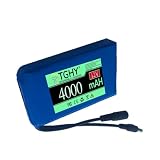 TGHY Zapasowy akumulator DC 12V 3Ah 4Ah 5Ah 6Ah 7Ah 9Ah 12Ah 16Ah 24Ah Li-ion przenośny akumulator do kamer CCTV, taśm LED i innych z ładowarką,12v 4000mah