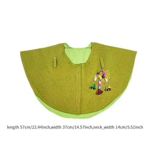 Couche de protection pour perroquet pour renforcer votre lien unique - 4