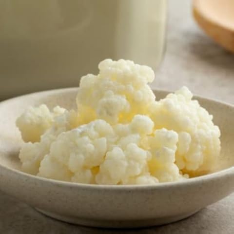 Happy Kombucha microbiologically Verified Live Milk kefir Grains to Make Milk kefir Drink Cover
