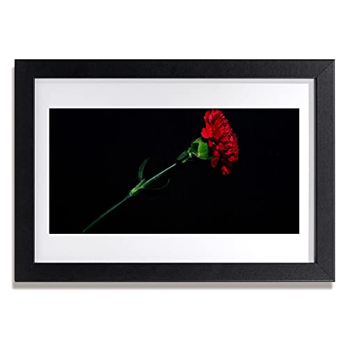 Plante de fleurs nature en affiche encadrée pour raviver un mur blanc vide